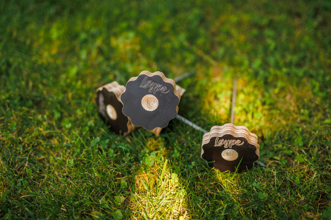 Spikes voor Inout Pin trainingsvierkant - Afbeelding 4